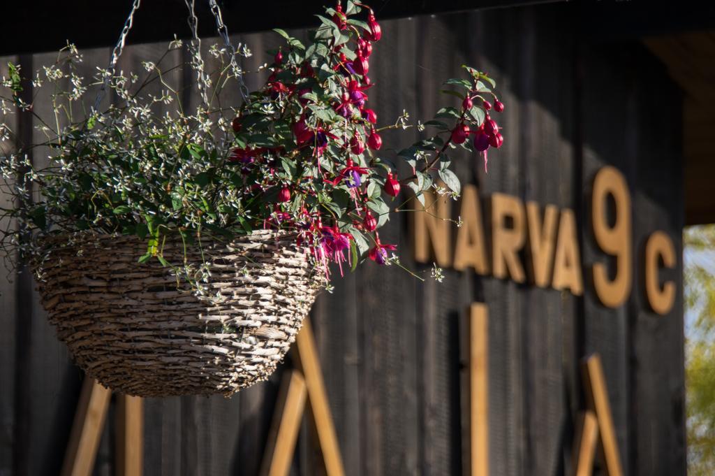 Hostel Kalameeste Maja Муствее Екстер'єр фото