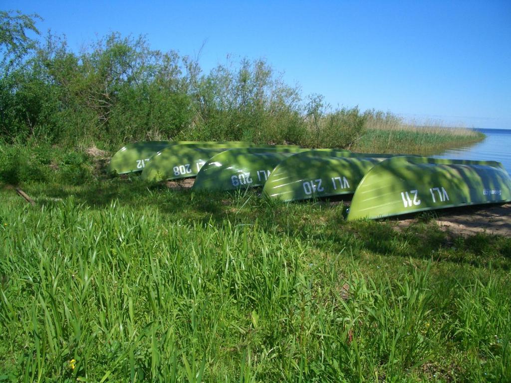 Hostel Kalameeste Maja Муствее Екстер'єр фото